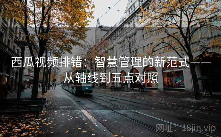 西瓜视频排错：智慧管理的新范式——从轴线到五点对照
