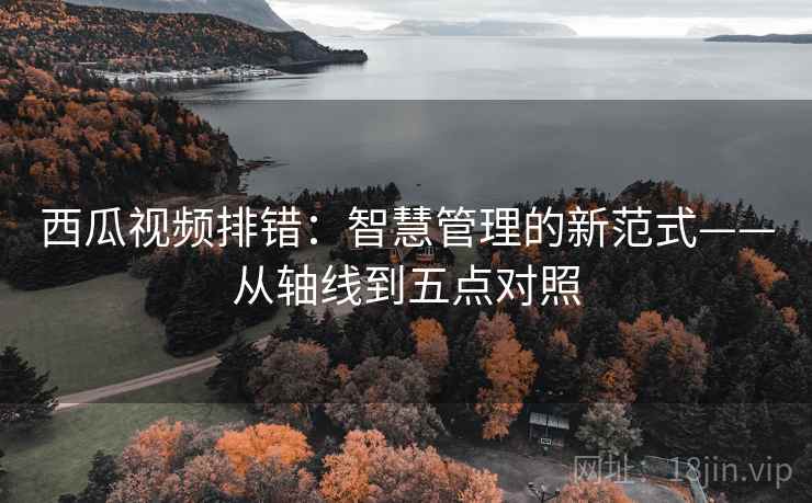 西瓜视频排错：智慧管理的新范式——从轴线到五点对照